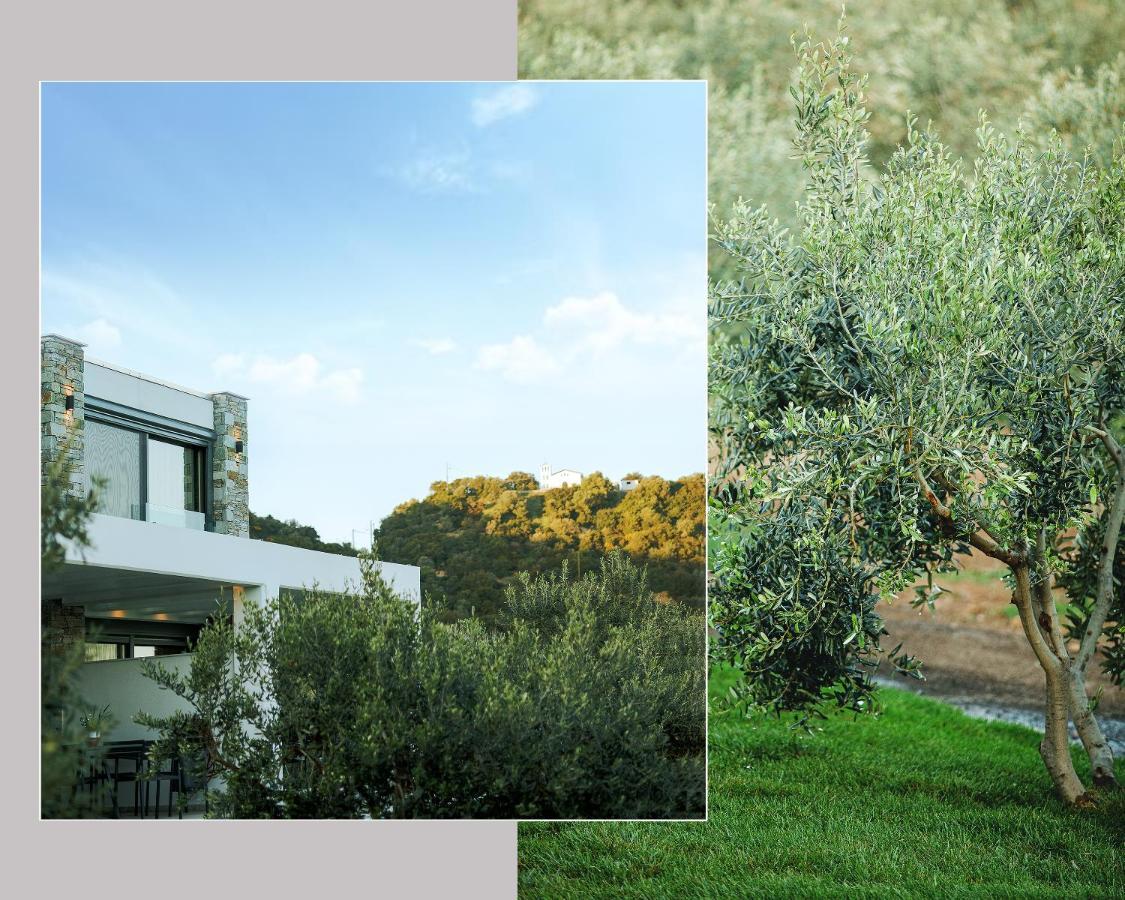 Casa Del Olivar Develíkia Exterior foto